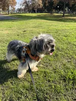 processed/384cec16-7d5b-460a-9c63-baa490ad9505/listing/c1aa4037-d5db-4830-9802-6c94b4023636/696888fd-2ee4-43ce-b66f-702201b9cce0