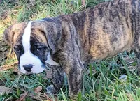 processed/3864b56c-9a87-4a3a-9250-8ce89d74928f/listing/1fd779b8-4f0e-409d-9001-9fe6c69e4358/00591d71-a625-4741-b71e-5b688b54445e