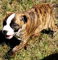 processed/3864b56c-9a87-4a3a-9250-8ce89d74928f/listing/1fd779b8-4f0e-409d-9001-9fe6c69e4358/2958cb58-2e90-44ac-90fd-fcadb4bf9fd9