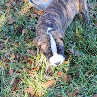 processed/3864b56c-9a87-4a3a-9250-8ce89d74928f/listing/1fd779b8-4f0e-409d-9001-9fe6c69e4358/704cf746-6dd7-44ed-8da9-9e62ddb746c8