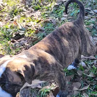 processed/3864b56c-9a87-4a3a-9250-8ce89d74928f/listing/1fd779b8-4f0e-409d-9001-9fe6c69e4358/c8ea1496-20df-4efc-8fda-8345a0f2e4ed