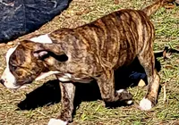 processed/3864b56c-9a87-4a3a-9250-8ce89d74928f/listing/1fd779b8-4f0e-409d-9001-9fe6c69e4358/dad6158d-e010-4a67-b199-5c2d3d7e0471