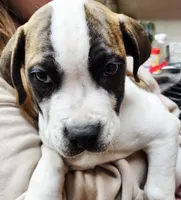 processed/3864b56c-9a87-4a3a-9250-8ce89d74928f/listing/70e4069c-dacd-490a-814c-8b90c74c31f4/8fdc7532-d458-441c-8a2e-6c75b763fb30