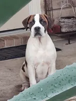 processed/3864b56c-9a87-4a3a-9250-8ce89d74928f/listing/70e4069c-dacd-490a-814c-8b90c74c31f4/b7c83cf6-2c76-41bb-a0dc-d994837b150e