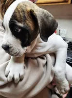 processed/3864b56c-9a87-4a3a-9250-8ce89d74928f/listing/70e4069c-dacd-490a-814c-8b90c74c31f4/c96bd64e-b96d-45bd-9b1d-8c31f1d4cf0d