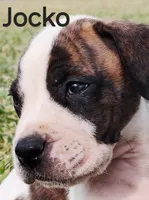 processed/3864b56c-9a87-4a3a-9250-8ce89d74928f/listing/70e4069c-dacd-490a-814c-8b90c74c31f4/f74ec93d-8b96-460e-82eb-eb12796e81bb