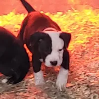 processed/3864b56c-9a87-4a3a-9250-8ce89d74928f/listing/a3c6f643-b92f-41d7-a5ca-ea145e9c9f6d/229fa07b-3adb-47fd-bec6-c148438362d8