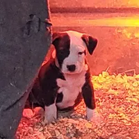 processed/3864b56c-9a87-4a3a-9250-8ce89d74928f/listing/a3c6f643-b92f-41d7-a5ca-ea145e9c9f6d/858c77f3-b7ec-4bc8-a3f0-c7e7827e0fec