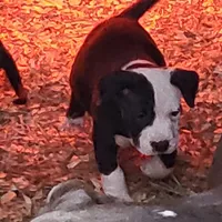 processed/3864b56c-9a87-4a3a-9250-8ce89d74928f/listing/a3c6f643-b92f-41d7-a5ca-ea145e9c9f6d/da0d0779-991a-44d5-8f3b-bb8690b87e6d