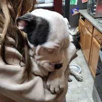 processed/3864b56c-9a87-4a3a-9250-8ce89d74928f/listing/c8774aab-4553-4ba5-8b42-84a443117bfd/43a3cb9e-3ead-4f6f-9e16-a9865fcca6a4