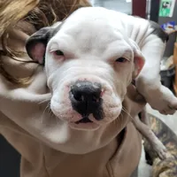 processed/3864b56c-9a87-4a3a-9250-8ce89d74928f/listing/c8774aab-4553-4ba5-8b42-84a443117bfd/6f0918e0-7652-40b8-b4ec-736c259432c7