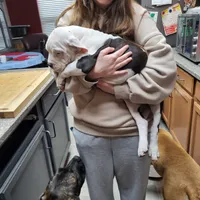 processed/3864b56c-9a87-4a3a-9250-8ce89d74928f/listing/c8774aab-4553-4ba5-8b42-84a443117bfd/e38a690f-84d1-4252-9866-092bab8dc42b