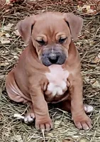 processed/3864b56c-9a87-4a3a-9250-8ce89d74928f/listing/f6abafbc-89b3-4ebc-aba4-82d5bd754edc/03aa2703-6b31-499c-a226-e7c6434ffc17