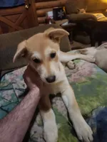 processed/38708a6d-5b6c-4951-ac51-838b9820b690/listing/26a41044-a79c-4d54-980a-e60e9551bc64/183e469f-c280-46a8-b036-e73ace4bb4dd