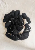 processed/38710c09-5707-48d2-9967-d7e532a44c02/facility/9748aee8-f76f-42df-931f-069346314c47