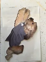 processed/387d5ea1-cdb0-4865-ac3b-f7a60de21e44/facility/8398ece2-0a37-4437-8e35-daddd232eae9