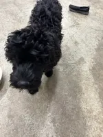 processed/387d5ea1-cdb0-4865-ac3b-f7a60de21e44/listing/0c7631f3-6c08-4197-8424-9f3f28661def/178b6b13-1bc5-4ddc-8f45-a969b7afdb36