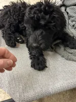 processed/387d5ea1-cdb0-4865-ac3b-f7a60de21e44/listing/0c7631f3-6c08-4197-8424-9f3f28661def/af722b4f-007d-4b33-923d-bf1d65fe3e7d