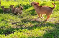 processed/3888ea8d-c1c3-4f66-9a46-c596f46e70ef/facility/3bcf730a-7df5-4604-8915-6743536bd7b5