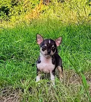 processed/3888ea8d-c1c3-4f66-9a46-c596f46e70ef/facility/41b61ec3-c62e-4c85-8cef-32aa8635a466