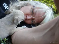 processed/3888ea8d-c1c3-4f66-9a46-c596f46e70ef/facility/4968b9a7-2243-4f43-96c3-bd39c01ee0e1