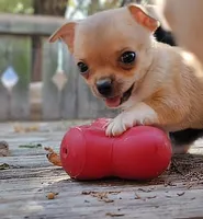 processed/3888ea8d-c1c3-4f66-9a46-c596f46e70ef/facility/53ede85c-9aac-42dd-a70d-81c37ea024a4