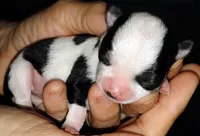 processed/3888ea8d-c1c3-4f66-9a46-c596f46e70ef/facility/b73c975c-7c3c-4b19-90c4-528596c21912