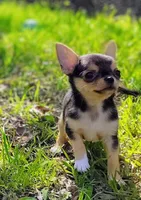 processed/3888ea8d-c1c3-4f66-9a46-c596f46e70ef/facility/d4323db3-74e3-4c63-a2d2-0db491ce26b8