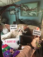 processed/3893e42a-adaa-4fb3-b1a8-18ca96da6404/facility/56ed850b-b623-43f5-930f-63a048e888b6