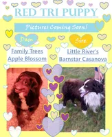 processed/3893e42a-adaa-4fb3-b1a8-18ca96da6404/facility/691755fb-9ce7-4aaf-b2d5-d6941a0a877b