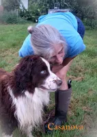 Three, a male Australian Shepherd for sale in Constable, NY – 8 of 9