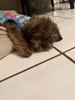 processed/389f4be0-5840-49fe-82c1-5cf98785ac8f/listing/eba2443d-4775-46b7-b5df-c2b16e54d851/4ca1bdf5-a6a8-4d01-bcb0-5a1dcba82a29