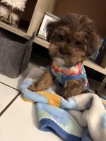 processed/389f4be0-5840-49fe-82c1-5cf98785ac8f/listing/eba2443d-4775-46b7-b5df-c2b16e54d851/c273f5e6-40df-4310-985a-4c752b6f163b