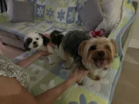 processed/389f4be0-5840-49fe-82c1-5cf98785ac8f/listing/eba2443d-4775-46b7-b5df-c2b16e54d851/f0acaf8f-7b3a-4589-9fb2-71d769964966