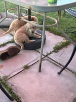 processed/38a41835-5c8e-463c-827b-0dbc2b2a05b5/facility/1ffbf005-3eec-498c-a090-c328ec4952d9