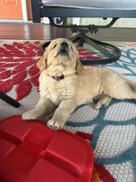 processed/38a41835-5c8e-463c-827b-0dbc2b2a05b5/facility/2bb961f0-aeea-4f72-89d5-74185413b605