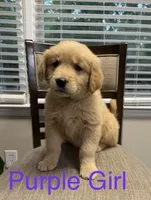 processed/38a41835-5c8e-463c-827b-0dbc2b2a05b5/facility/aea1bd41-d7b9-4846-a76c-c8f0b74d5a4a