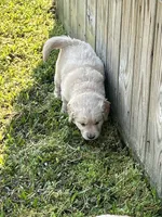 processed/38a41835-5c8e-463c-827b-0dbc2b2a05b5/facility/db7eab76-2b48-4aaa-b2f7-b8e808b2a7f5