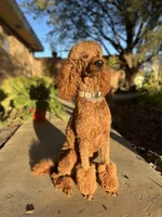 processed/38a4dcb5-b986-4942-8cd7-4515c700957c/listing/a3bc005f-5eed-441b-bcf9-e614a4e976d7/005b828e-a545-403b-bcee-3e95f6383daa