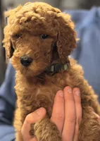 processed/38a4dcb5-b986-4942-8cd7-4515c700957c/listing/a3bc005f-5eed-441b-bcf9-e614a4e976d7/f0eba28f-040c-4cca-a0f9-db26f0ce1e2f