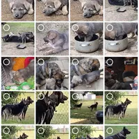 processed/38ba933f-bf92-4da4-9b37-d6969cac6deb/facility/05c84651-f1c7-4951-a8a5-8d660511c0f5