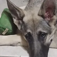 processed/38ba933f-bf92-4da4-9b37-d6969cac6deb/facility/085f57ee-8338-407a-980d-1a37370dfb5e