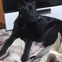 processed/38ba933f-bf92-4da4-9b37-d6969cac6deb/facility/230ed4af-9b2d-458e-9f4f-d5d569a09c20