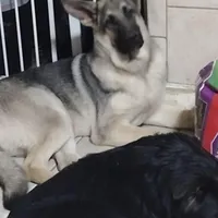 processed/38ba933f-bf92-4da4-9b37-d6969cac6deb/facility/47f9802d-838c-46ae-8226-2f23a61b8b48