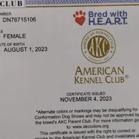 processed/38ba933f-bf92-4da4-9b37-d6969cac6deb/facility/9189e61e-4092-4d65-9149-f717f632677a