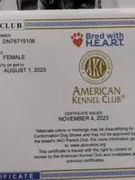 processed/38ba933f-bf92-4da4-9b37-d6969cac6deb/facility/9189e61e-4092-4d65-9149-f717f632677a