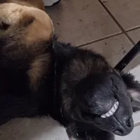 processed/38ba933f-bf92-4da4-9b37-d6969cac6deb/facility/d5ce8c6f-96e2-4ca6-aa09-241a9df85aa6