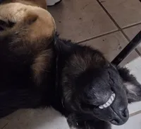 processed/38ba933f-bf92-4da4-9b37-d6969cac6deb/facility/d5ce8c6f-96e2-4ca6-aa09-241a9df85aa6