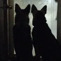 processed/38ba933f-bf92-4da4-9b37-d6969cac6deb/facility/df5459f3-e7ab-4c06-9881-faa073cf28df