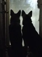 processed/38ba933f-bf92-4da4-9b37-d6969cac6deb/facility/df5459f3-e7ab-4c06-9881-faa073cf28df